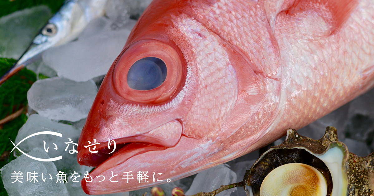 いなせり株式会社